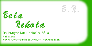 bela nekola business card